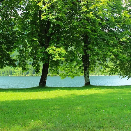 Apartament Holiday Zupancic 2 Bohinj