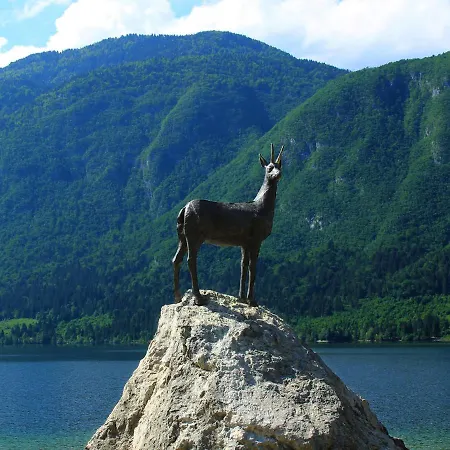 Holiday Zupancic 2 * Bohinj