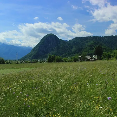 Holiday Zupancic 2 Appartement