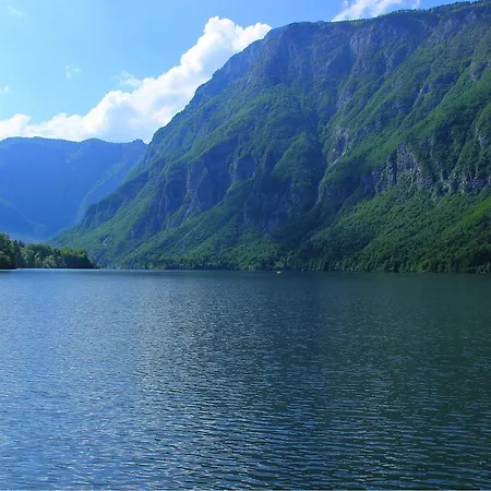 Holiday Zupancic 2 Appartement Bohinj