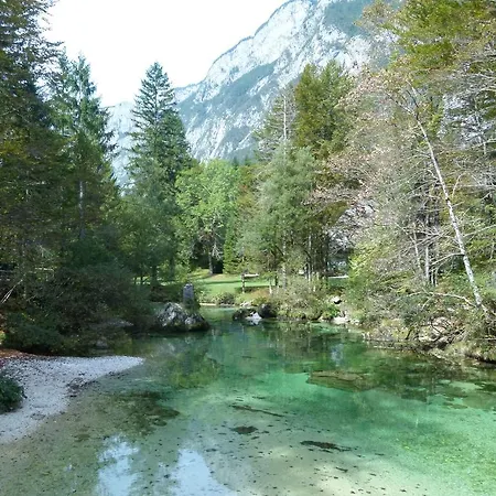 Holiday Zupancic 2 Bohinj